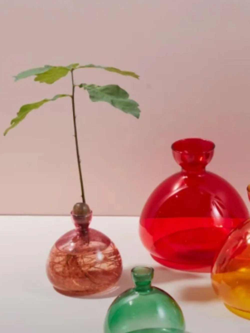 Minimalist Acorn Vase – Pink Glass Oak Tree